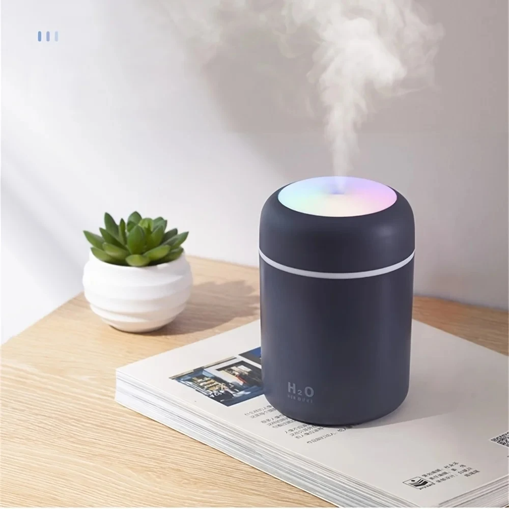 H2O Humidifier