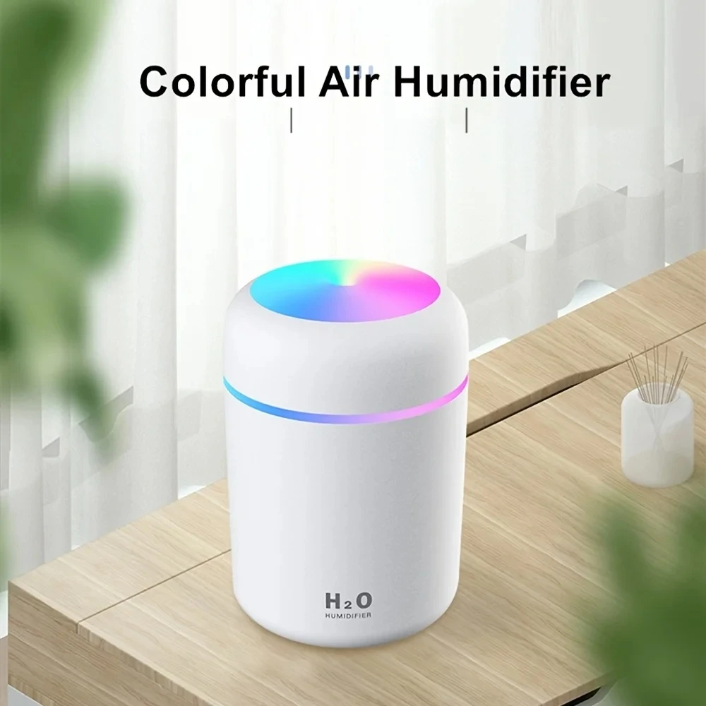 H2O Humidifier