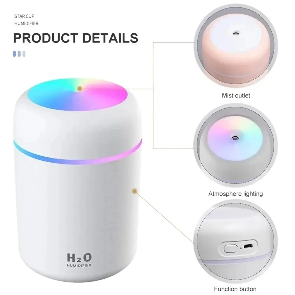 H2O Humidifier