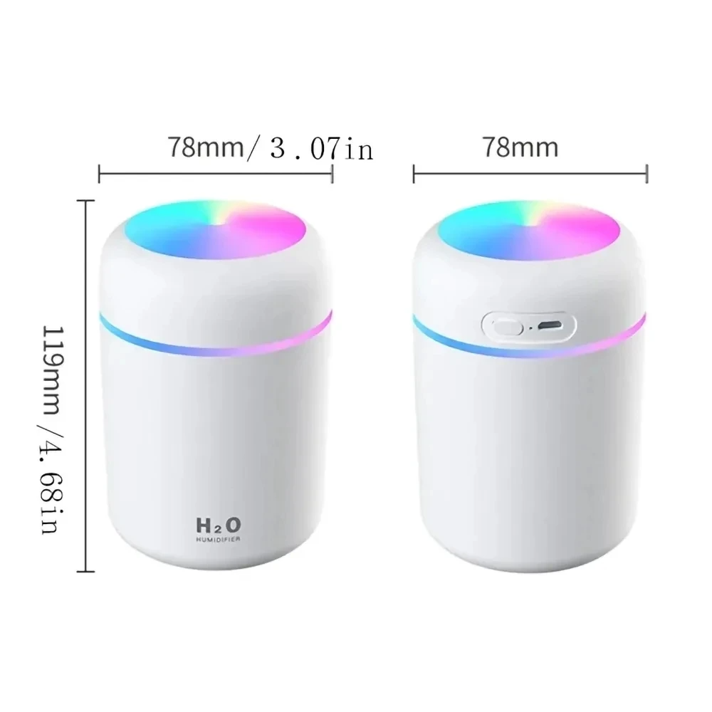 H2O Humidifier