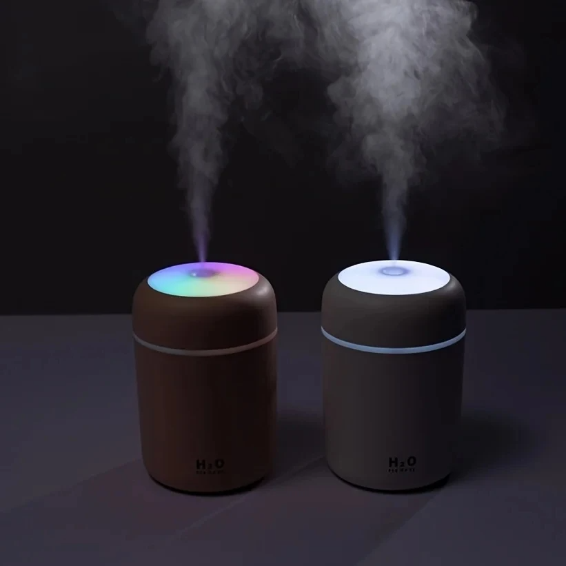 H2O Humidifier