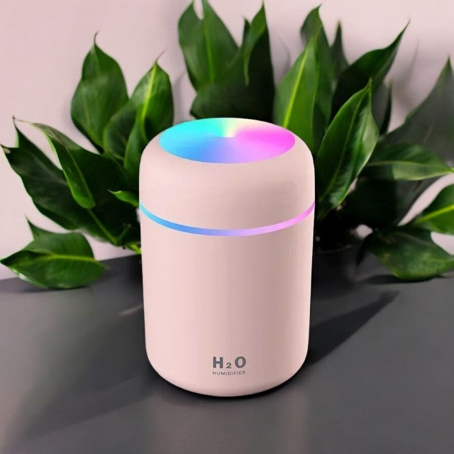 H2O Humidifier